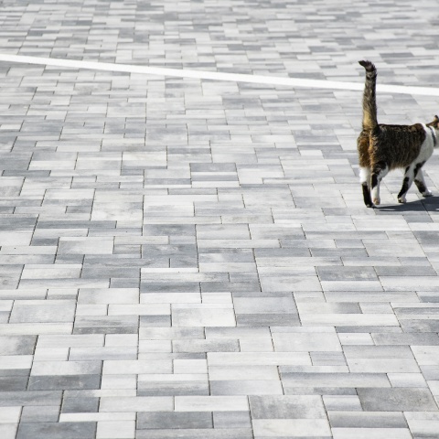 Kostka brukowa Resto 6cm color mix