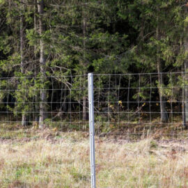 Ogrodzenie z siatki leśnej 150cm 100mb siatka słupki ocynk